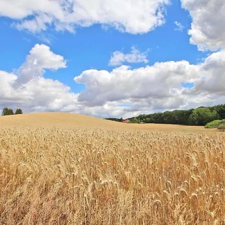 Holiday home Alter Stall