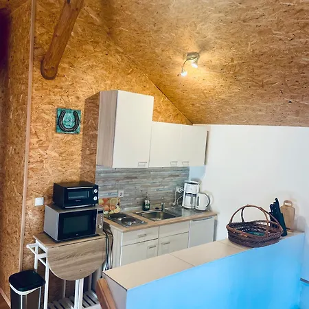 Alter Stall Holiday home Melzow